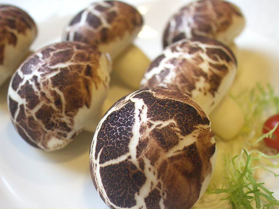 野菌像生蘑菇包